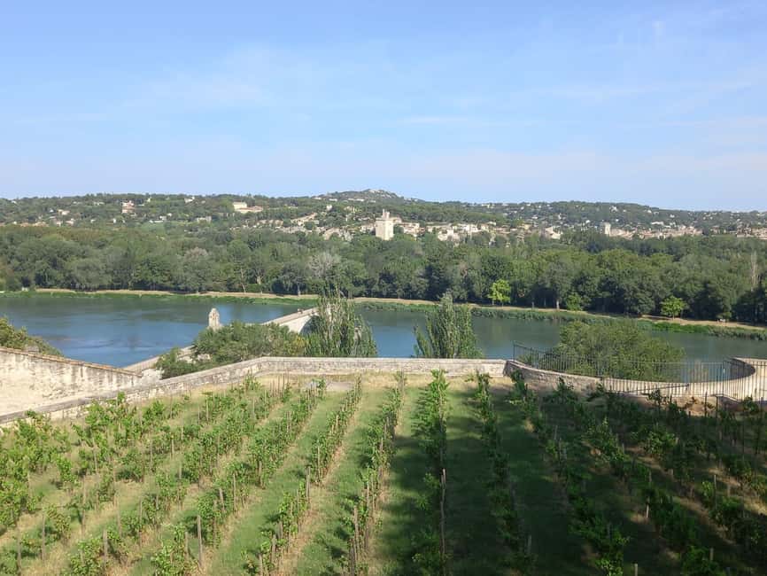 Avignon: City Walking Tour with Popes Palace Entry - Is the $81 price fair?