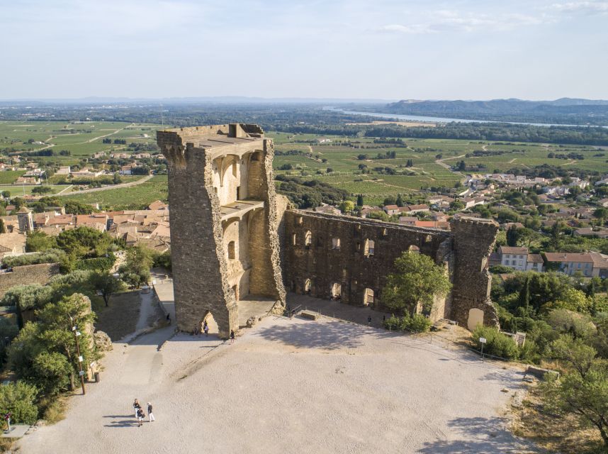 Avignon: Full-Day Châteauneuf du Pape Wines & Luberon Tour - The second cellar and an honest note about quality