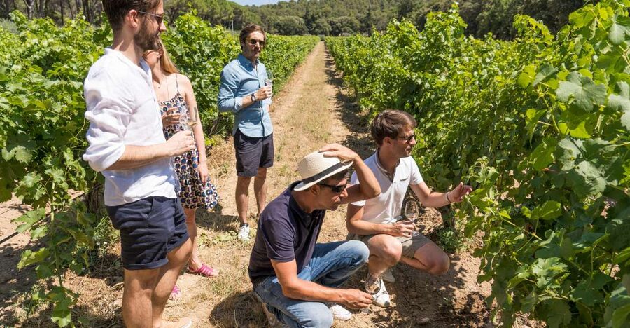 Avignon: Full-Day Châteauneuf du Pape Wines & Luberon Tour - The Avignon break before the Luberon