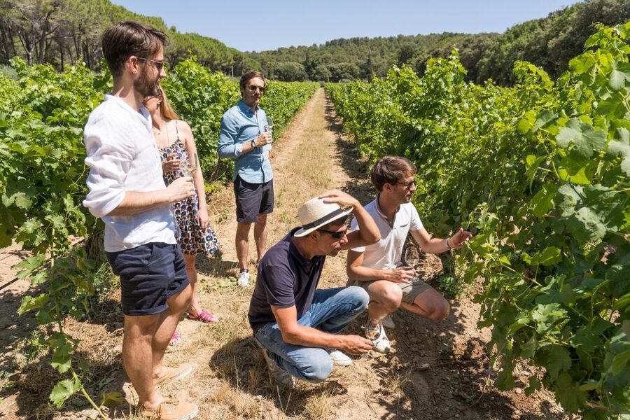Avignon: Full-Day Châteauneuf du Pape Wines & Luberon Tour - Lacoste and the Marquis de Sade’s castle