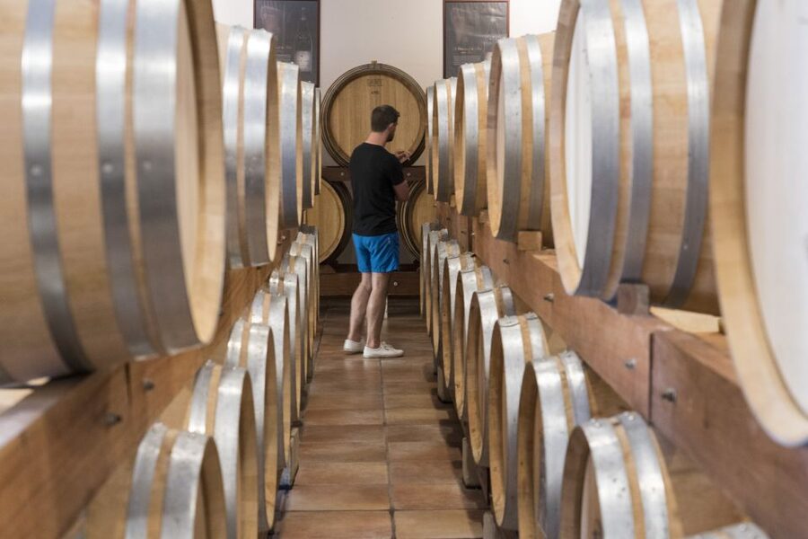 Avignon: Full-Day Châteauneuf du Pape Wines & Luberon Tour - Gordes, the grand final village