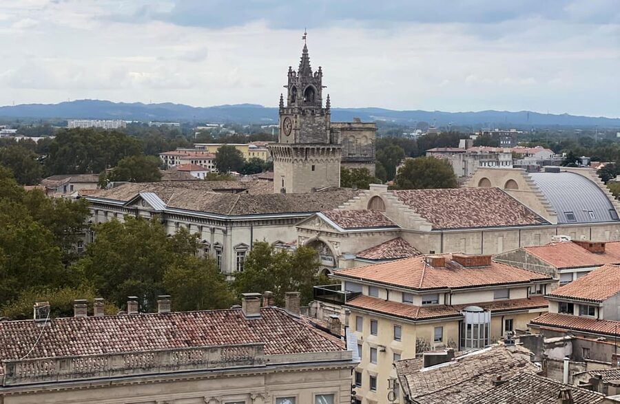 Avignon: History and Legend Walking Tour - Meeting beneath the tree at Place Crillon