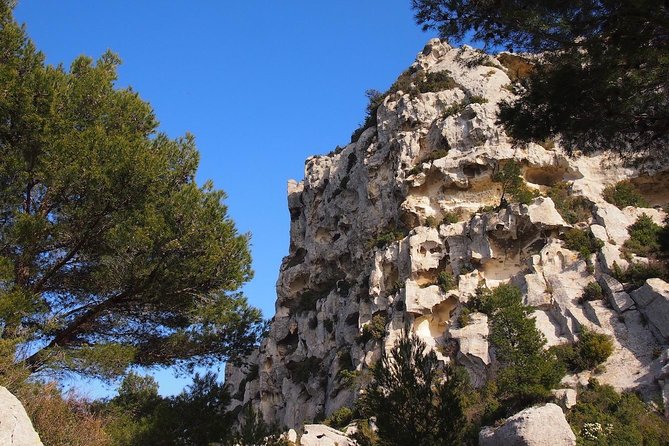 Avignon, Les Baux, St Remy and Arles from MARSEILLE - Who should book this Provence tour?