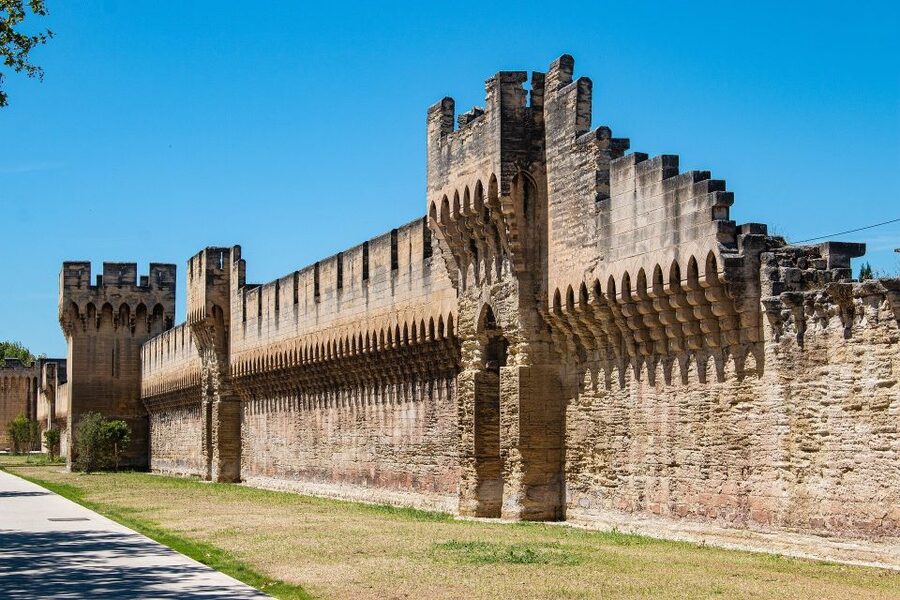 Avignon: Private Walking Tour – Discover History & Heritage - What the private guide adds