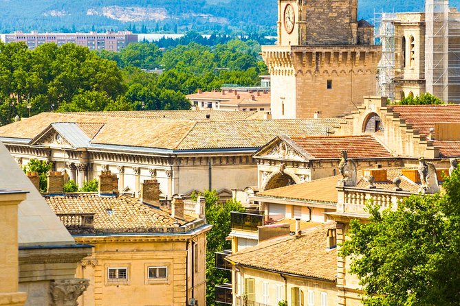 Avignon Walking Tour including Pope's Palace - Ending with Côtes du Rhône wine