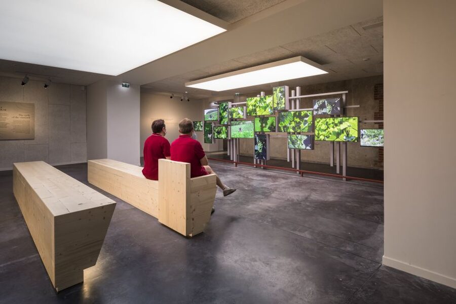 Aÿ-Champagne: Pressoria Champagne Museum with Tasting - The interactive rooms keep the subject moving