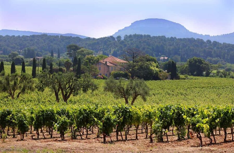 Bandol and Cassis: Full Day Wine Tour from Marseille - Lunch and free time in Cassis