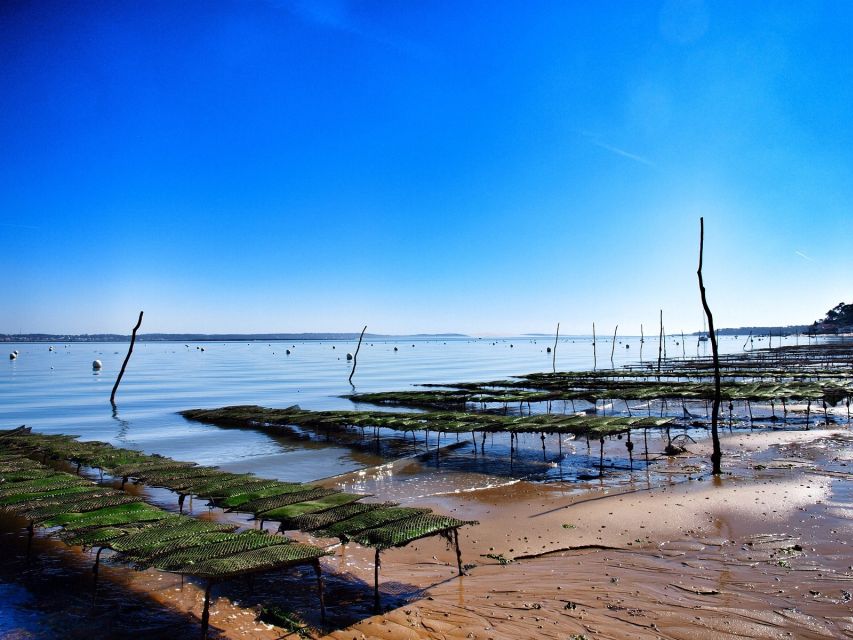 Bay of Arcachon: Guided Food Tour - Key points at a glance