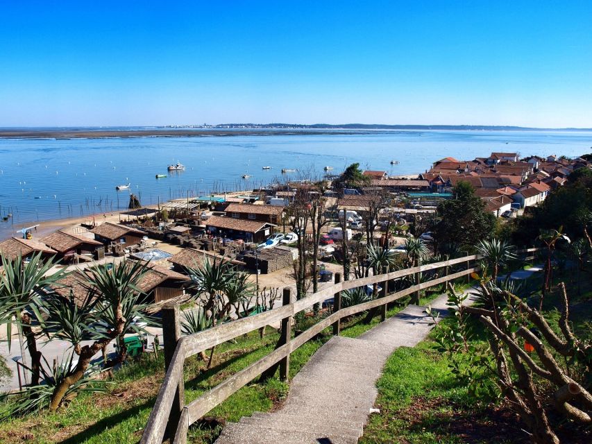 Bay of Arcachon: Guided Food Tour - Practical planning for the peninsula