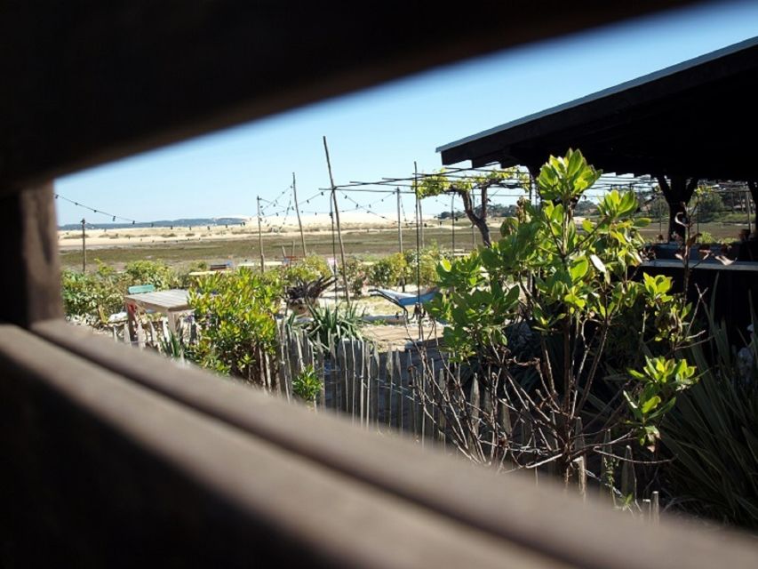 Bay of Arcachon: Guided Food Tour - Alain’s storytelling adds local color