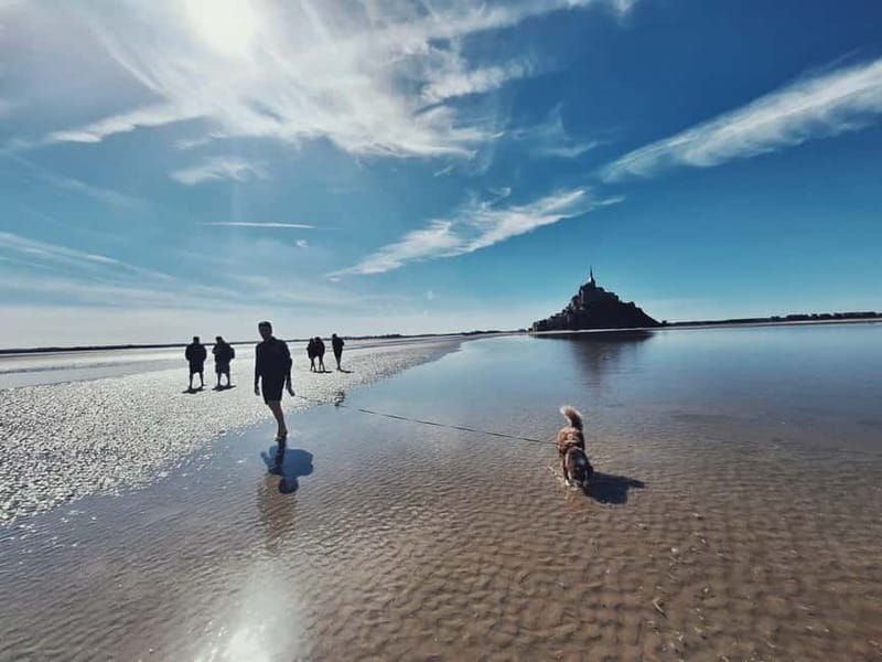 Bay of Mont Saint-Michel : Quicksands And Discovery - Mont Saint-Michel from the quiet side