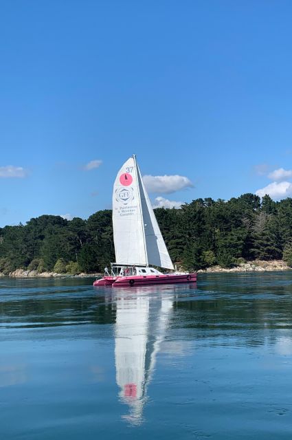 Bay of Quiberon or Morbihan gulf: Evening 2 hours navigation - Key points at a glance