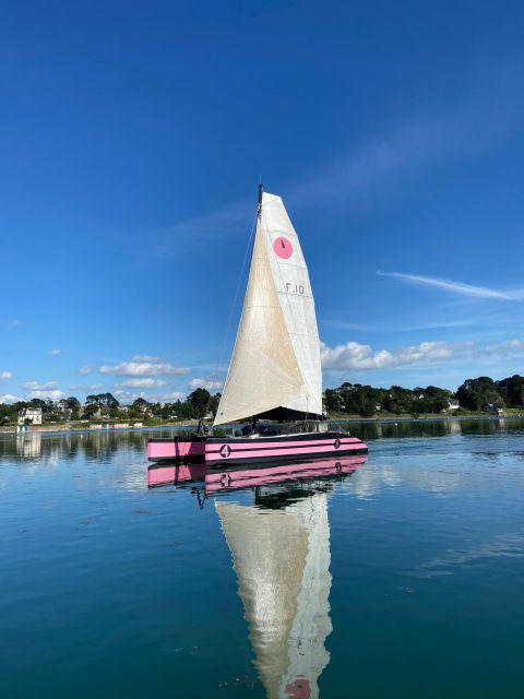 Bay of Quiberon or Morbihan gulf: Evening 2 hours navigation - Morbihan Gulf: islands, sheltered water, and changing views