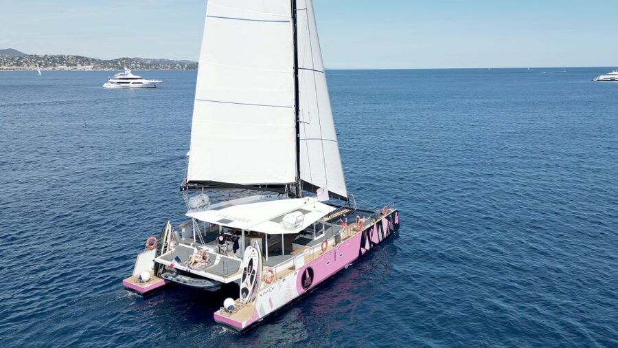 Bay of Quiberon or Morbihan gulf: Evening 2 hours navigation - The aperitif is pleasant, but it is not dinner