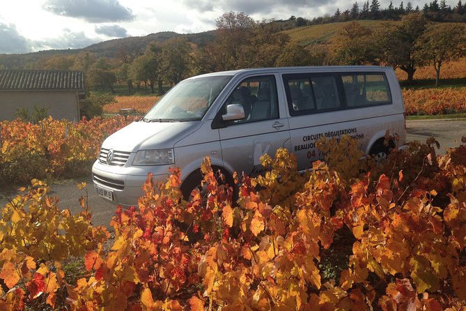 Beaujolais Crus Wines & Castles (2:00 pm - 6:30 pm) - Small Group Tour from Lyon - Cercié and the family winery visit