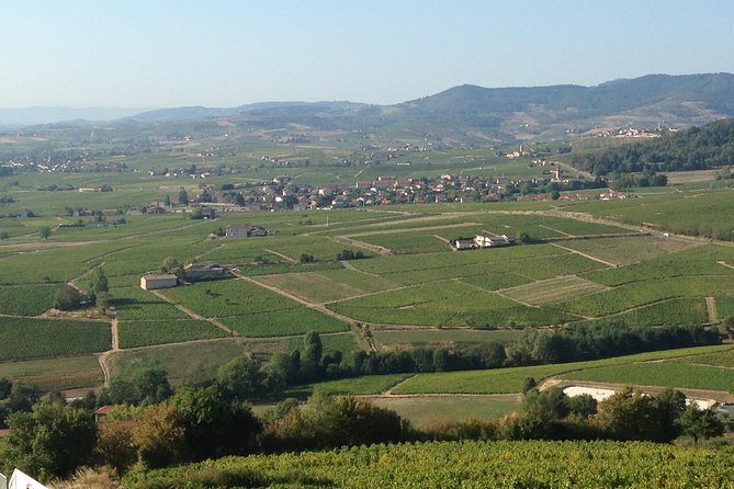 Beaujolais Crus Wines & Castles (2:00 pm - 6:30 pm) - Small Group Tour from Lyon - Fleurie and the view from La Madone Chapel