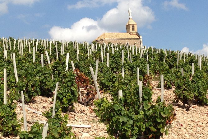Beaujolais Crus Wines & Castles (2:00 pm - 6:30 pm) - Small Group Tour from Lyon - How much wine do you actually taste?