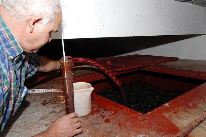 Beaujolais & Perouges Medieval Town (9:00 am to 5:15 pm - Small Group Tour Lyon - Meeting the winemaker in Moiré