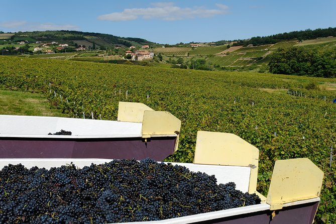 Beaujolais & Perouges Medieval Town (9:00 am to 5:15 pm - Small Group Tour Lyon - The drive to Pérouges and a medieval afternoon