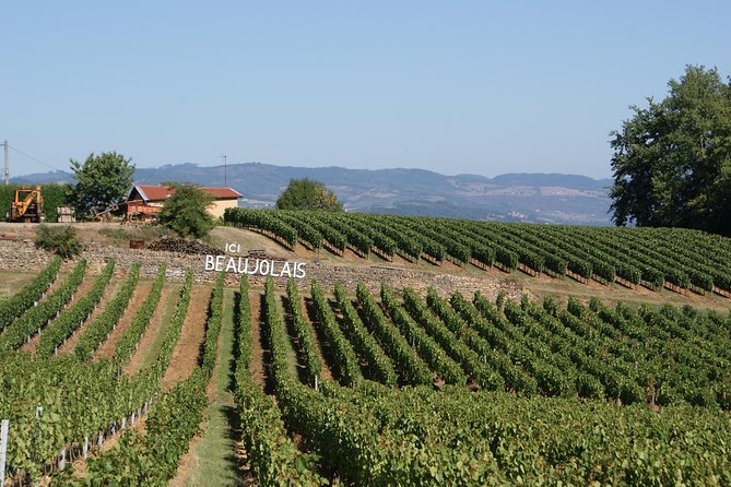 Beaujolais & Perouges Medieval Town (9:00 am to 5:15 pm - Small Group Tour Lyon - Oingt, a hilltop village with wide views