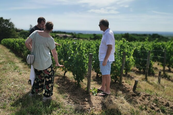 Beaujolais wine tour from Lyon half day - The guides make the drive count