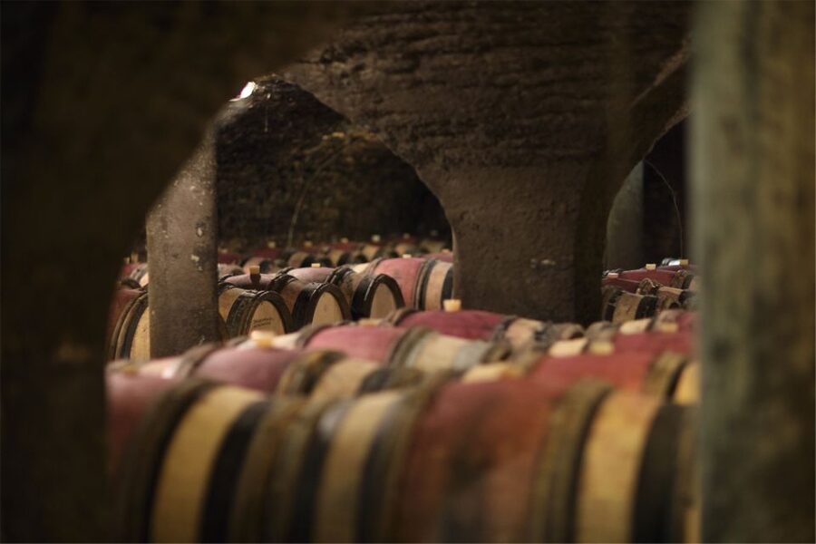 Beaune: Maison Champy Guided Cellar Tour with Wine Tasting - The value of $29 for 90 minutes in central Beaune