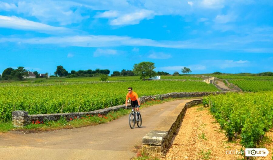 Beaune: Winery Tour by Bike with Wine Tasting - Pommard: First Views and a Short Photo Stop