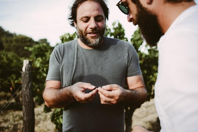 Bertrand Bosc wine and food tour in Pic St Loup - Key points before you book