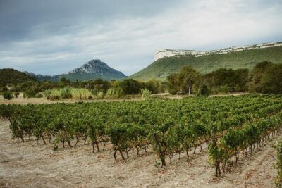 Bertrand Bosc wine and food tour in Pic St Loup