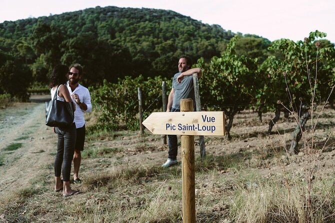 Bertrand Bosc wine and food tour in Pic St Loup - A short walk through a medieval village