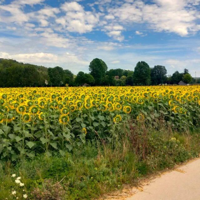 Bike tour from Vernon to Giverny with local guide - Timing your day around the train