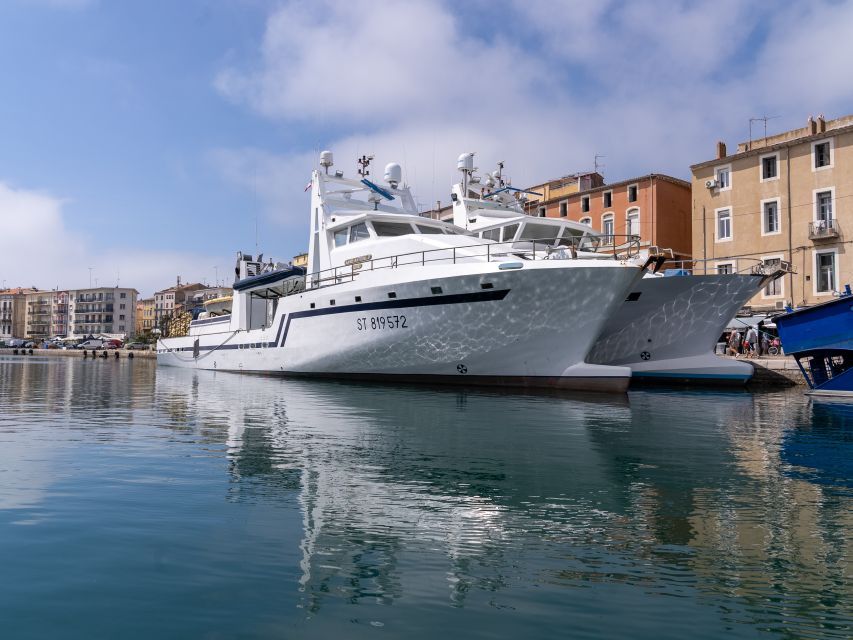 Boat walk in Sete on the singular island 1 hour - Seeing Sète from its canals