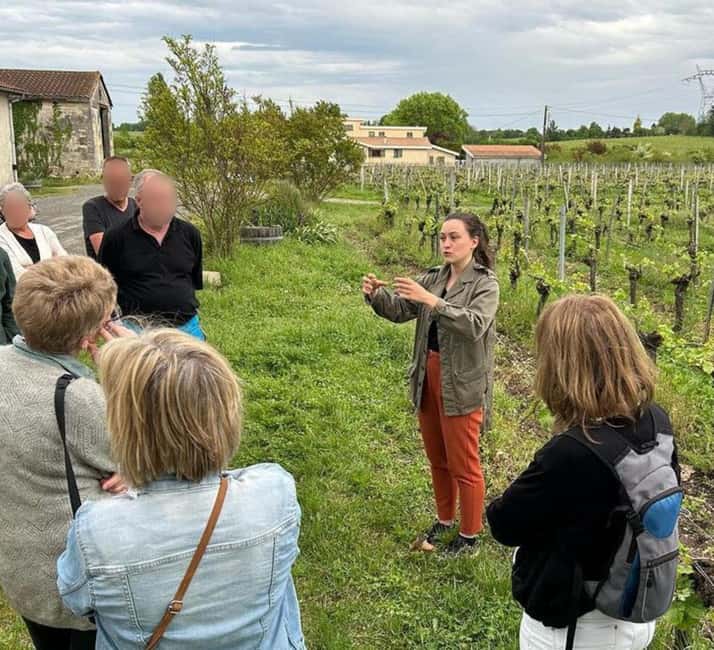 Bordeaux: Explore an Organic Family Vineyard with Tasting - Is $21 good value for 90 minutes?