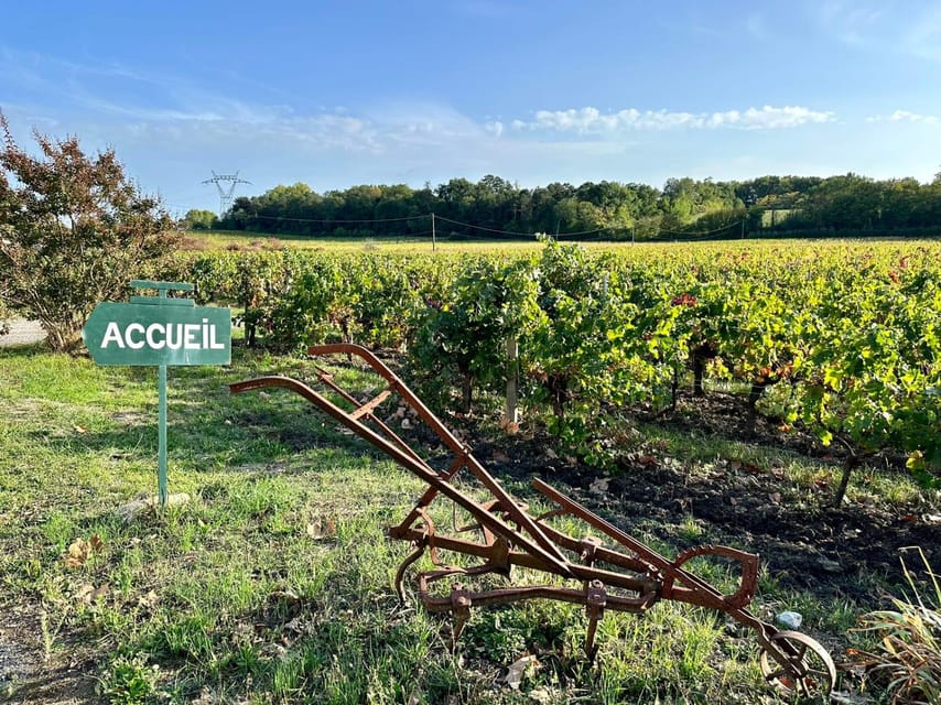 Bordeaux: Explore an Organic Family Vineyard with Tasting - Getting there and preparing for the visit