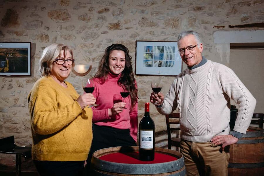 Bordeaux: Explore an Organic Family Vineyard with Tasting - Seeing the vines and the move toward organic farming