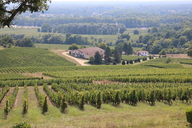 Bordeaux : Full Day Wine Tastings & Gourmet Lunch - What the small-group vehicle adds