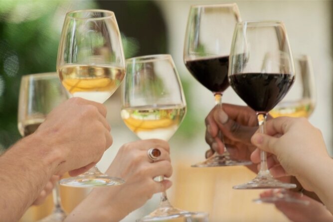 Bordeaux : Full Day Wine Tastings & Gourmet Lunch - Who will enjoy this Bordeaux wine outing most