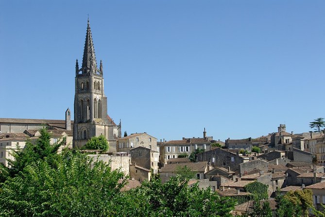 Bordeaux Full Day Wine Tour - 3 Wineries & Gourmet Picnic Lunch - Why this Bordeaux wine tour works so well