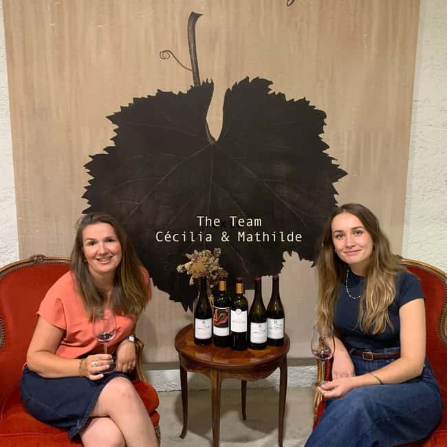 Bordeaux: Guided Bordeaux Wine Tasting Class with 6 Wines - Six wines, six ways to read Bordeaux