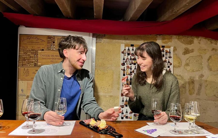 Bordeaux: Guided Bordeaux Wine Tasting Class with 6 Wines - Who should book this experience