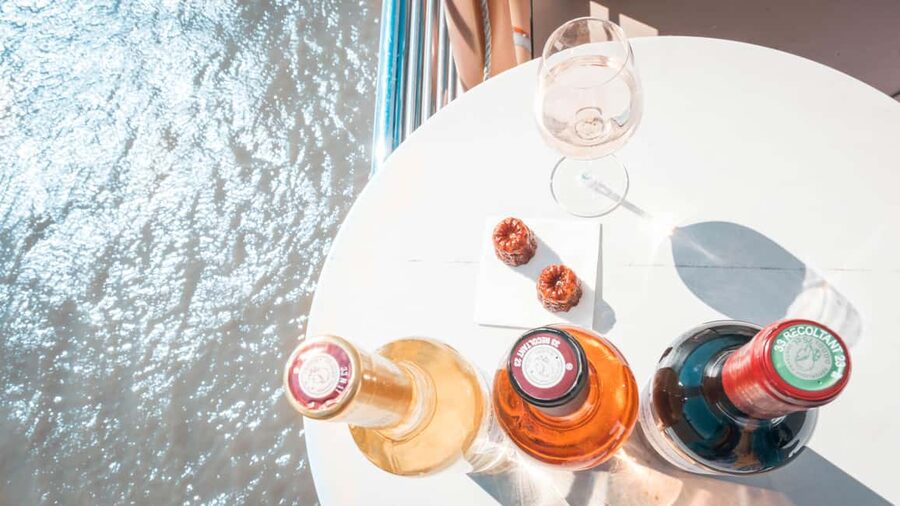 Bordeaux: Guided Wine and Canelé Discovery Cruise - Is $22 a fair price for 90 minutes?