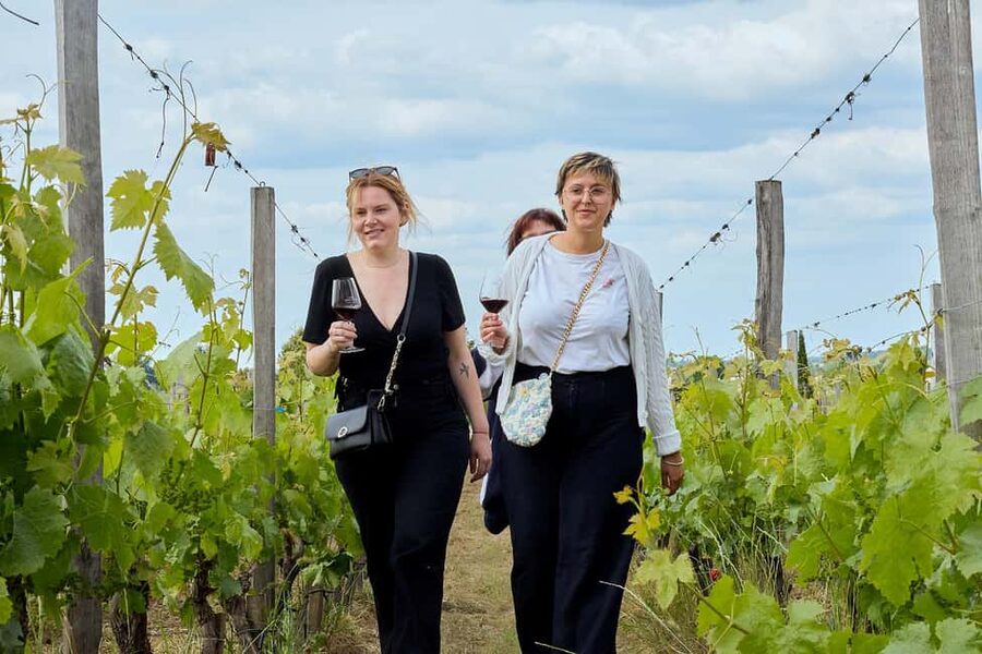Bordeaux: Half-Day Margaux Tour with Wine Tastings - The best time and the right type of visitor