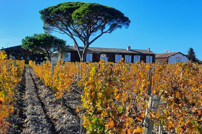 Bordeaux Médoc Region Private Wine Lovers Tour with Chateau Visits & Tastings - Château Margaux and the D2 Route