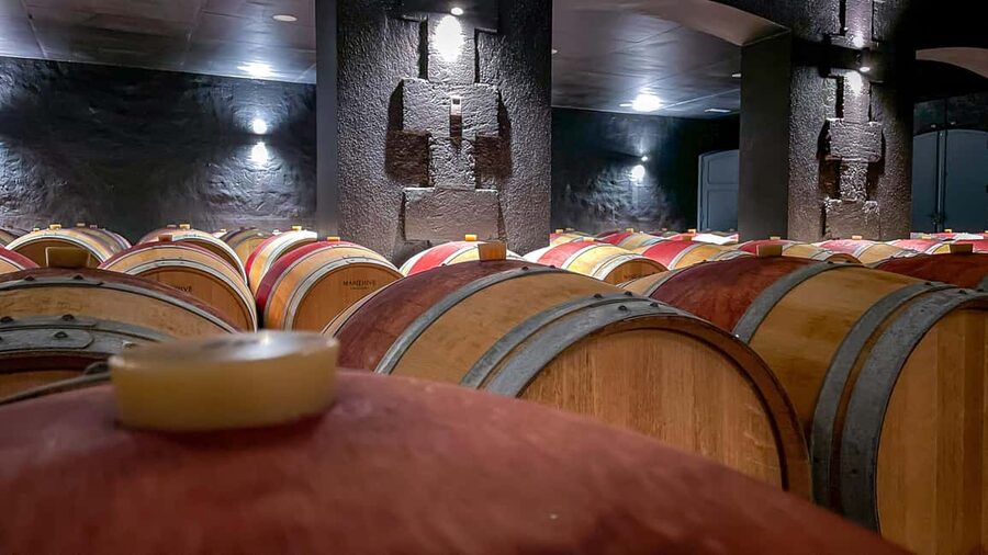 Bordeaux: Saint-Emilion and Medoc Full-Day Wine Experience - The first château and a picnic among the vines