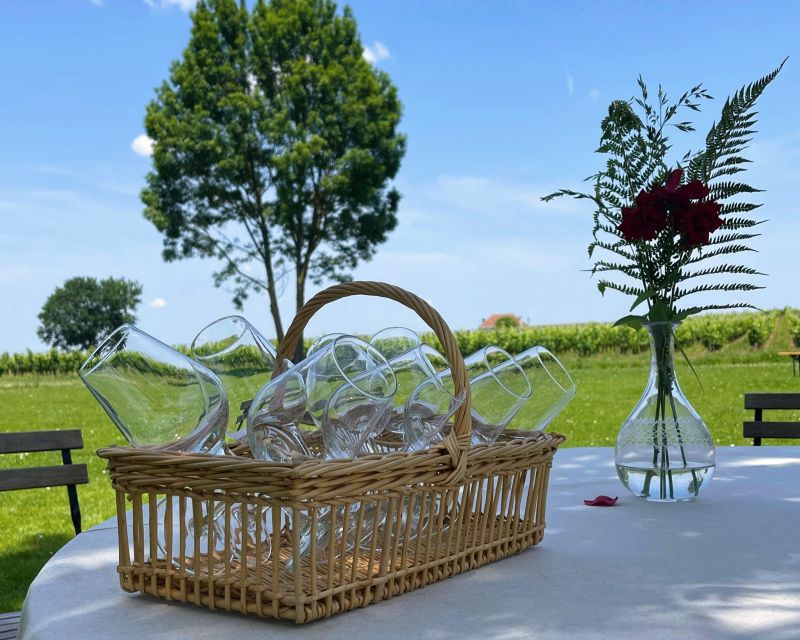 Bordeaux: Saint-Emilion Village Day Trip, 2 Chateaux & Lunch - Why this Saint-Émilion trip works so well