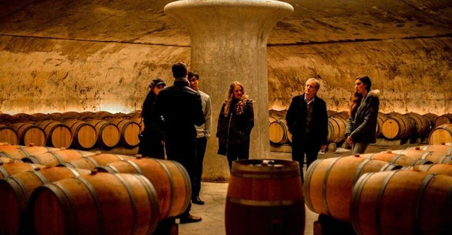Bordeaux: St-Emilion and Medoc Wine Day Tour with Lunch - Why this tour works for Bordeaux wine beginners