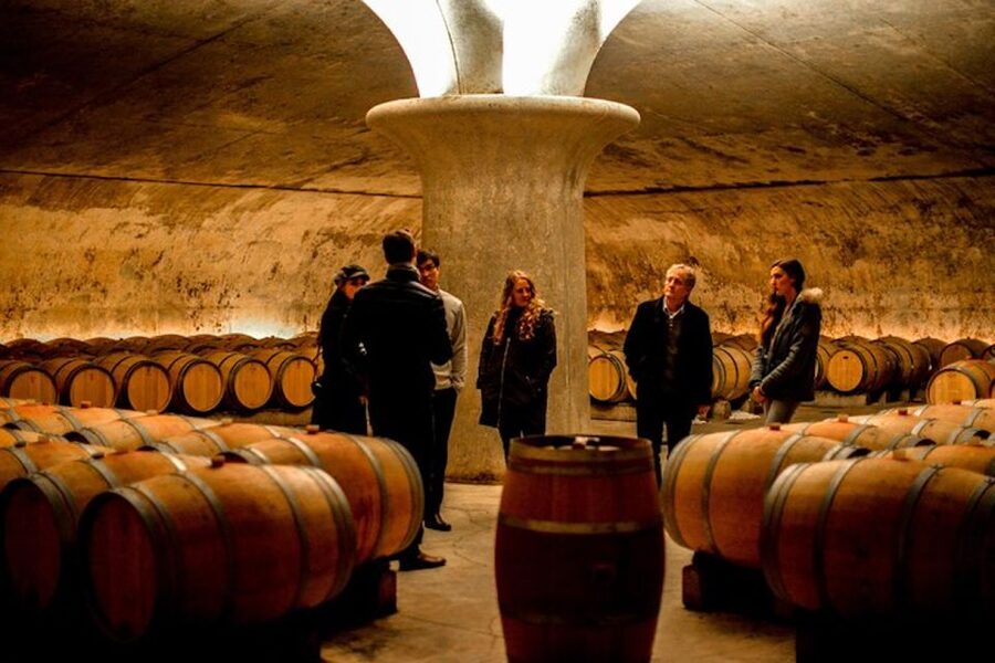 Bordeaux: St-Emilion and Medoc Wine Day Tour with Lunch - Meeting at Rustic Vines Tours in central Bordeaux