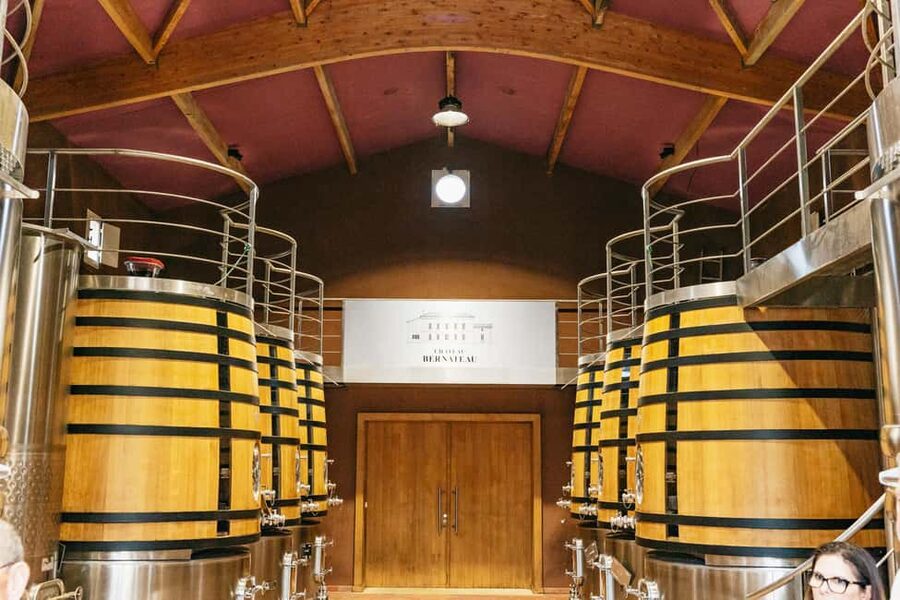 Bordeaux: St. Emilion Day Trip with Wine Tasting and Lunch - The final tasting compares small producers