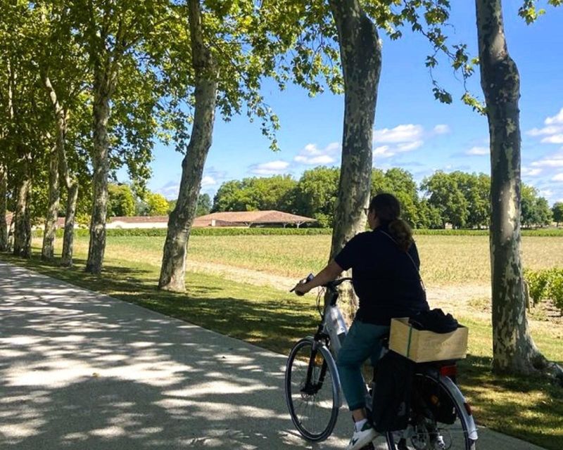Bordeaux: St-Emilion Vineyards e-Bike Tour with Wine & Lunch - A second château and five or six wines