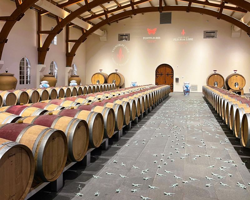 Bordeaux: St-Emilion Vineyards e-Bike Tour with Wine & Lunch - Who will enjoy this day most